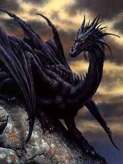 Мохнатые лесные обитатели