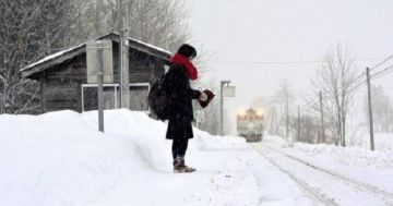 Девушка, поезд и Отаку