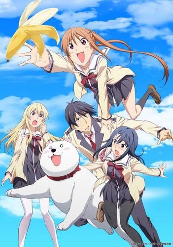 Новый трейлер &quot; Aho Girl&quot;