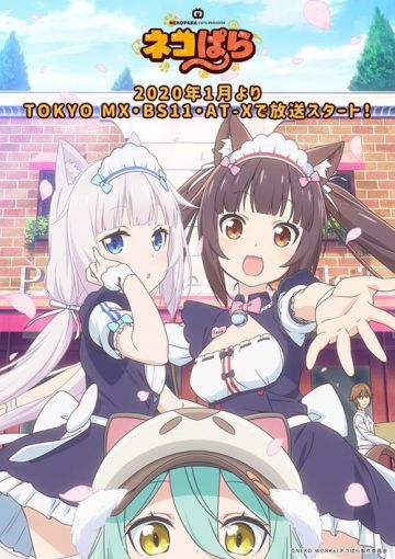 Названа дата премьеры сериала "Nekopara"