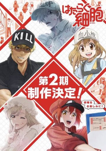 Дата премьеры продолжения "Hataraku Saibou"