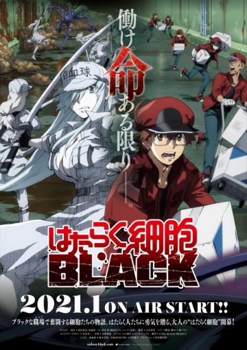 Новости "Hataraku Saibou Black"