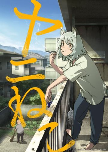 Названа команда сериала "Yani Neko"