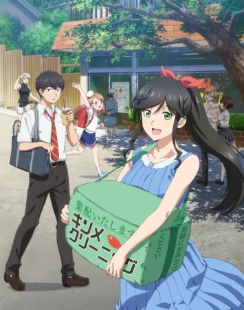 Kirei ni Shite Moraemasu ka