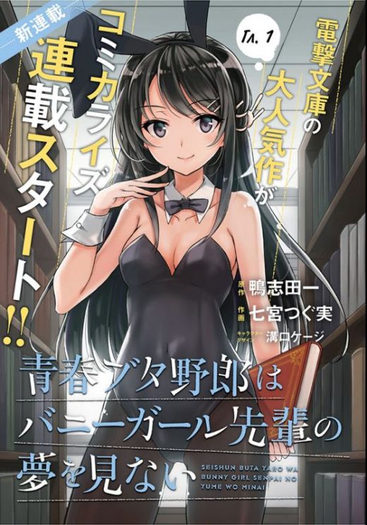 Seishun Buta Yarou wa Bunny Girl Senpai no Yume o Minai