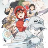 Hataraku Saibou 2