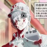 Видео к манге &quot;Hataraku Saibou&quot;