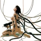 Новый аниме проект по Ghost in the Shell