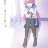 Новости франшизы "Tonikaku Kawaii"