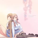 Анонс аниме по ранобэ "Koi wa Futago de Warikirenai"