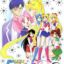 Bishoujo Senshi Sailor Moon R