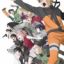 Gekijouban Naruto Shippuuden: Hi no Ishi o Tsugu Mono